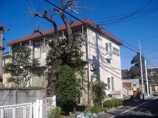 シティハイム キルシュの画像