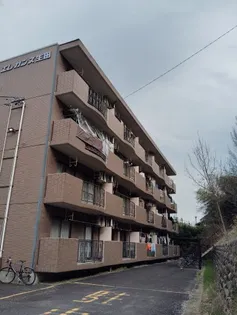 エレガンス生田の画像