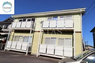 SURPLUS THREE つくしの画像