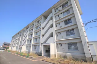 パレットプレースの画像