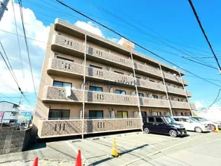 サザンクロスの画像