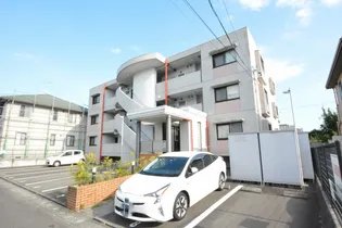 マ メゾン Y Oの画像