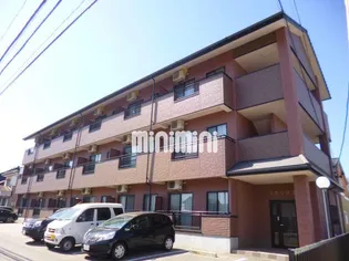 グラシアスの画像