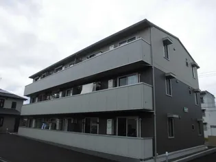 コンフォートMの画像