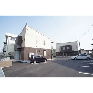 セルシャンプの画像