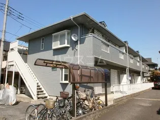 サンフラワーの画像