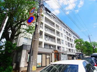 小金原第6コーポラスの画像