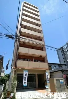 アヴァンティ千代の画像