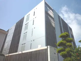 PINOの画像