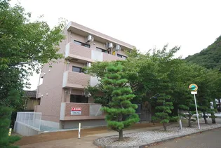 ピュアメゾン 未来の画像