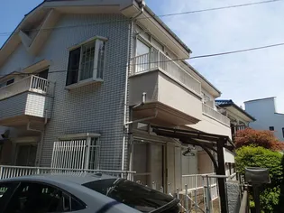 グリーンリーフの画像