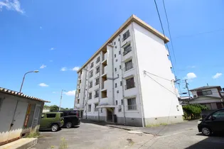 徳島県徳島市八万町法花【マンション】の外観