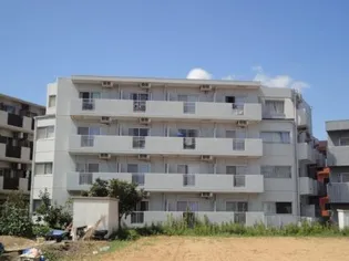 メゾンド 雅【1階】の外観