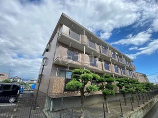 ストロベリーコーポ【3階】の外観