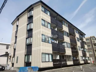 ロワール市川の画像