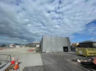 Palm Tree II【2階】の外観