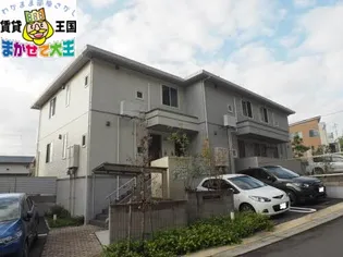 サンフラワーの画像