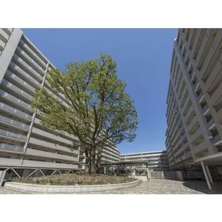 シティコート目黒2号棟【6階】の外観