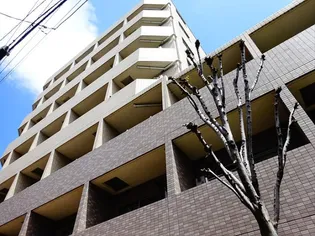 東京都世田谷区羽根木1【マンション】の外観