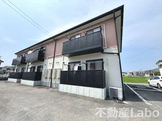 徳島県板野郡藍住町住吉字神蔵【アパート】の外観