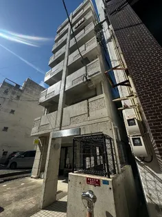 セレスティア カネガエの画像