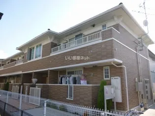 プラシード パラッツォの画像