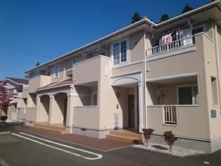 プリムローズの画像