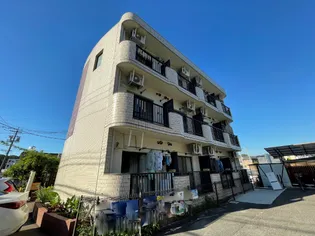 レイフレンズの画像