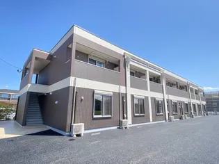 ミュールの画像