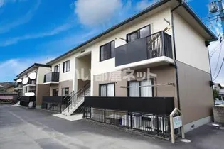 WHITE WOOD C Dの画像