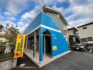 パインウェイブの画像