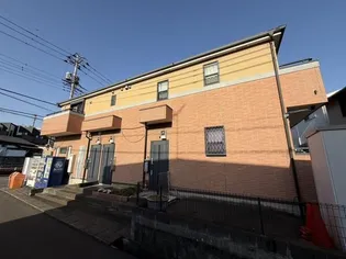 パーシモンの画像