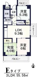 サンオークタツミ【8階】の間取り