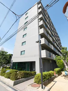 サンオークタツミの画像