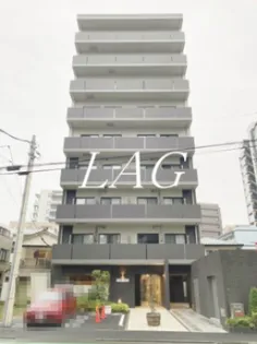 コライユ常盤の画像