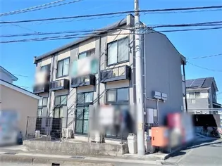 クリサンテーモの画像