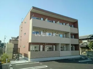 ひかりの画像