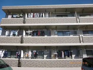 ドミールの画像