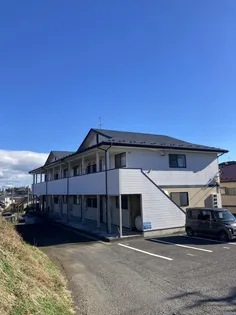 サンフラワーIIの画像