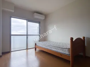 シンデレラキャッスル後田【1階】の居間