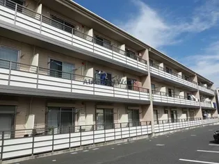 フルールの画像