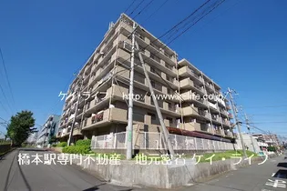 ドミ中屋【6階】の外観