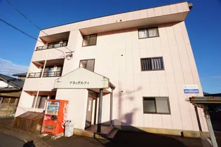 アネックス ティの画像