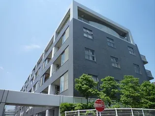 ディコーラムの画像