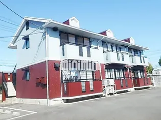 ハイネス林の画像