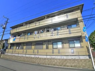 セジュール山の根の画像
