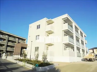 パラネミスタの画像