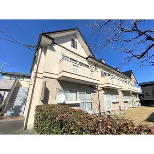 ルピナス生原の画像