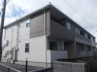 プラシード アルバの画像