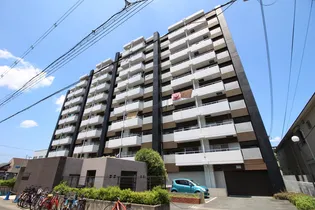 ピカソ平野の画像